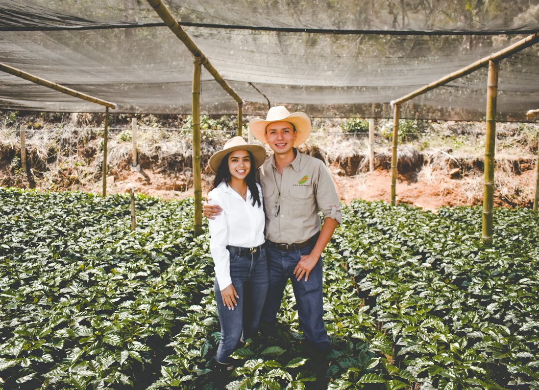 Pareja de caficultores con sombrero en su almácigo de café